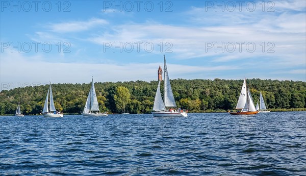 Sailboats