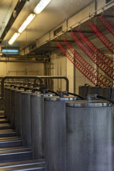 Cheese pressing in the cheese dairy in Almdorf Eng