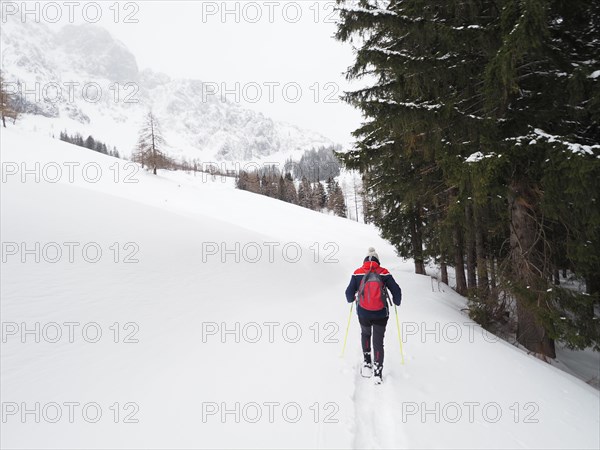 Snowshoe hiker