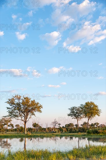 Waterscape at Little Vumbura Camp