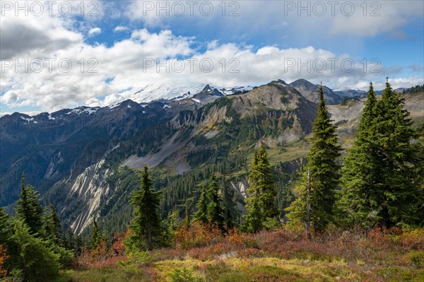 View of Mt. Baker with snow and glacier