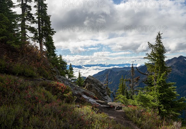 Hiking trail at Huntoon Point