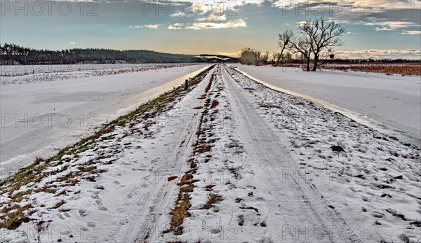 Field path with snow