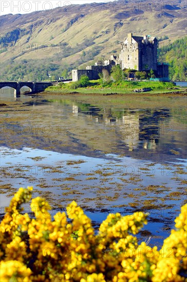 Castle reflected in the water