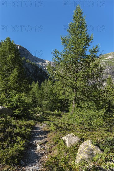 Landscape of the Rhone valley near the hamlet of Gletsch