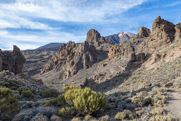 Roques de Garcia