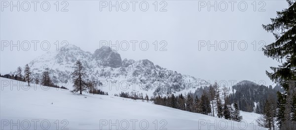 Winter landscape in front of snow-covered Bosruck massif