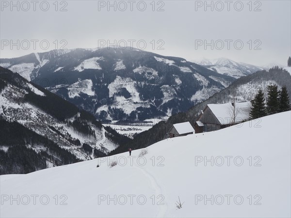 Winter landscape