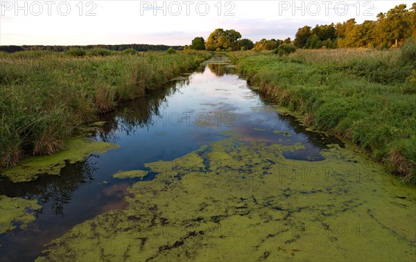 Water ditch in the Nuthe-Nieplitz nature Park near Stangenhagen