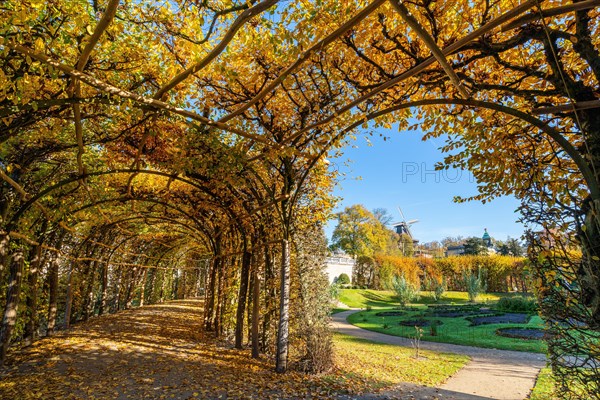 Arcade with autumn leaves