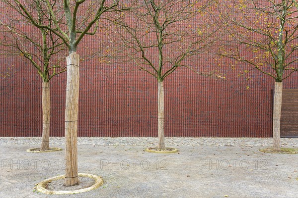 Brick facade with trees Museum Kueppersmuehle