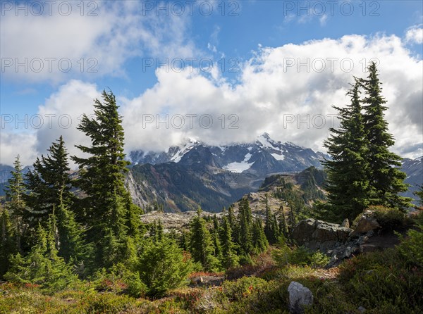 Cloudy Mt. Shuksan with snow and glacier