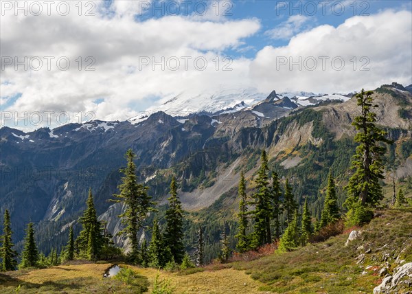 View of Mt. Baker with snow and glacier