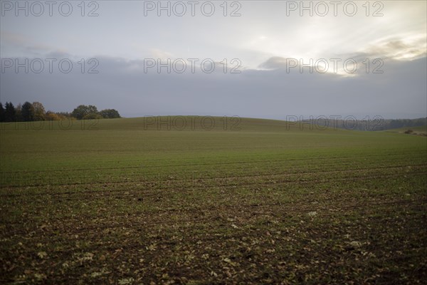 Autumn atmosphere in diffuse light in the fields