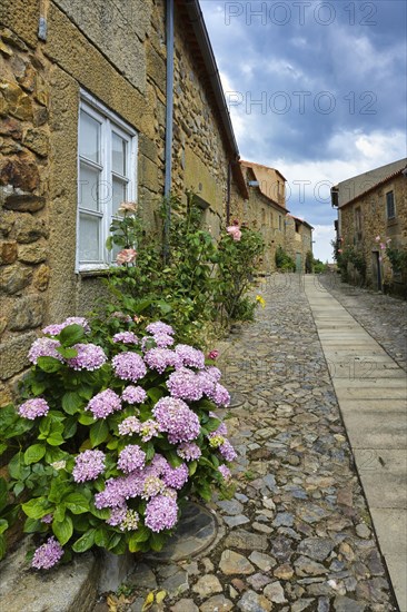 Narrow street with flowers and old stone houses
