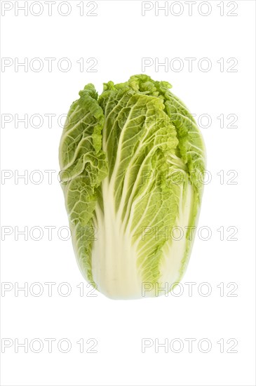 Chinese cabbage