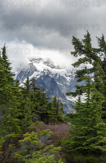 View from Table Mountain of Mt. Shuksan with snow and glacier