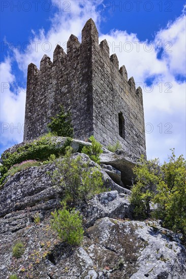 Castle and tower