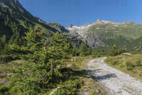 Landscape of the Rhone valley near the hamlet of Gletsch