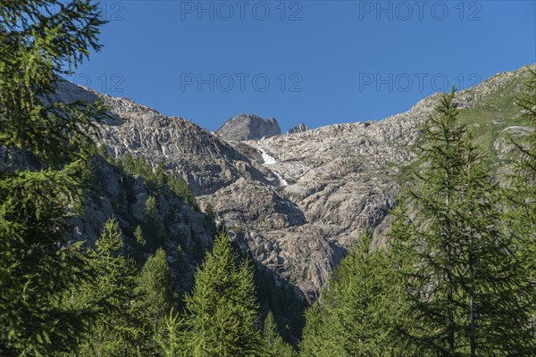 Massif of the Rhone Glacier from the Rhone Valley