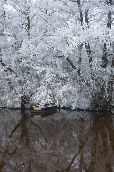 Brook in Hoarfrost