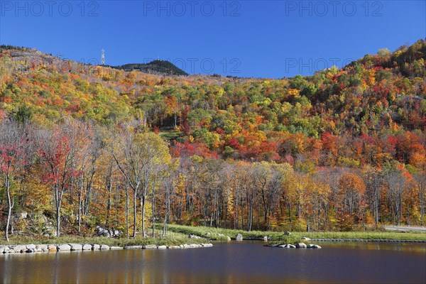 Autumnal landscape