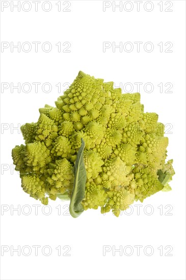 Romanesco