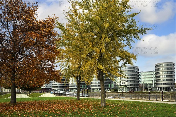 Garden of Memories with Five Boats office building