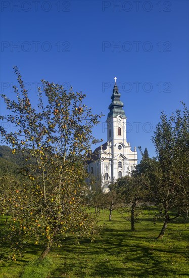 Engelszell Abbey