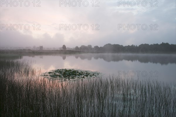 Heidesee at sunrise