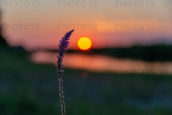 Sunset at Linyanti River