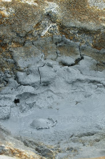 Bubbling mud spring in the Hveraroend geothermal area