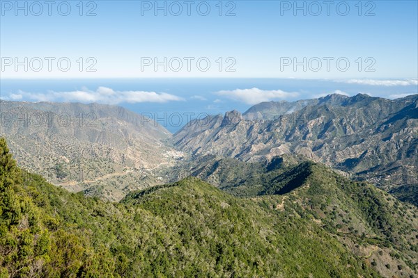 Cloud forest around the Raso de la Bruma over the Montana de la Arana overlooking the valleys of Vallehermoso