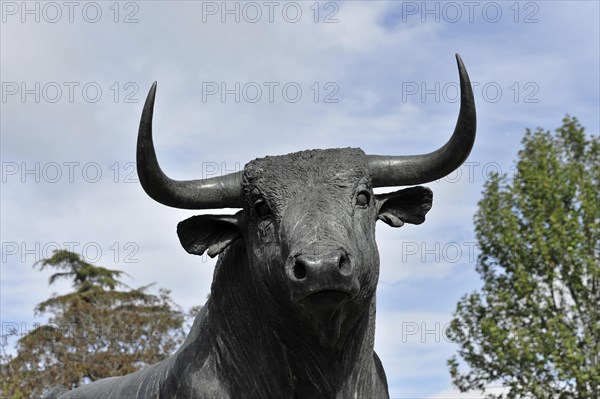 Monument to a fighting bull