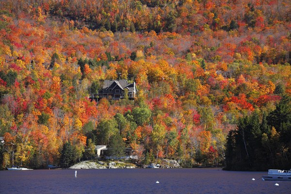 Autumnal landscape