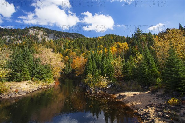 Autumnal landscape