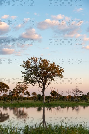 Waterscape at Little Vumbura Camp