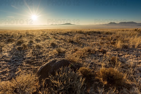 Sunrise over Tiger Canyon Farm