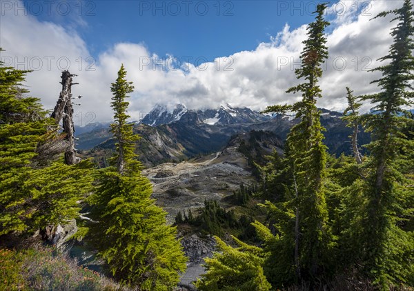 View from Table Mountain of Mt. Shuksan with snow and glacier