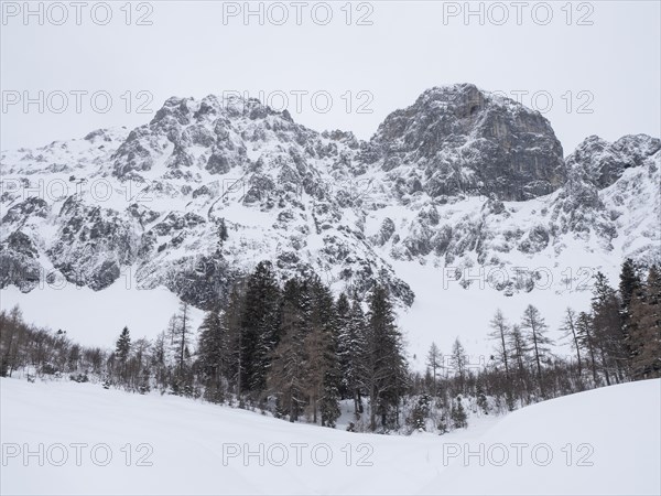 Winter landscape