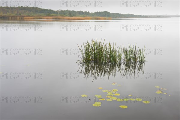 Steinhuder Meer