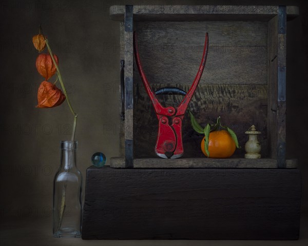 Still life with physalis in glass bottle