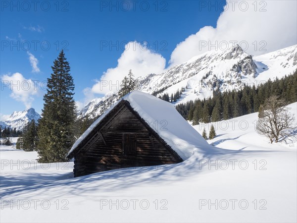 Winter landscape