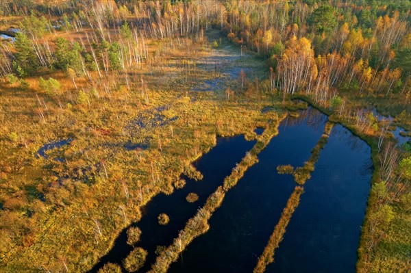 Drone image Nicklheimer Filzen