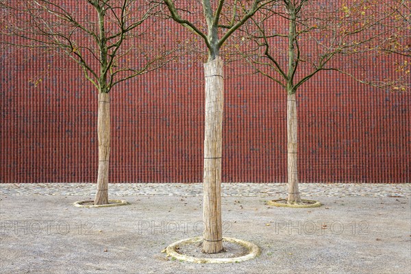 Brick facade with trees Museum Kueppersmuehle