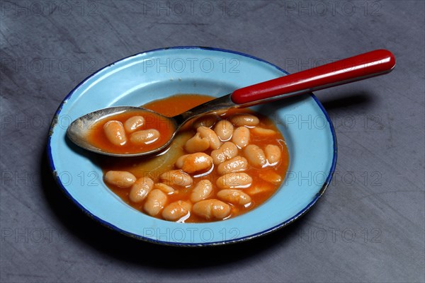 White beans with tomato sauce in plate with spoon