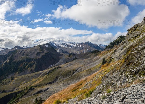 View of Mt. Baker with snow and glacier