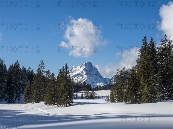 Winter landscape