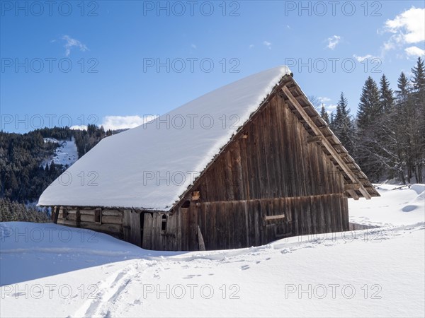 Winter landscape