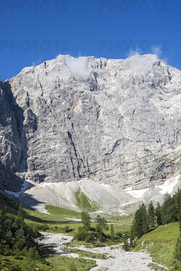 Enger Grund pasture area with dried-up stream bed of the Rissbach